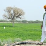 success story of yogesh joshi rapid organic